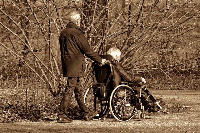 procházka s invalidou